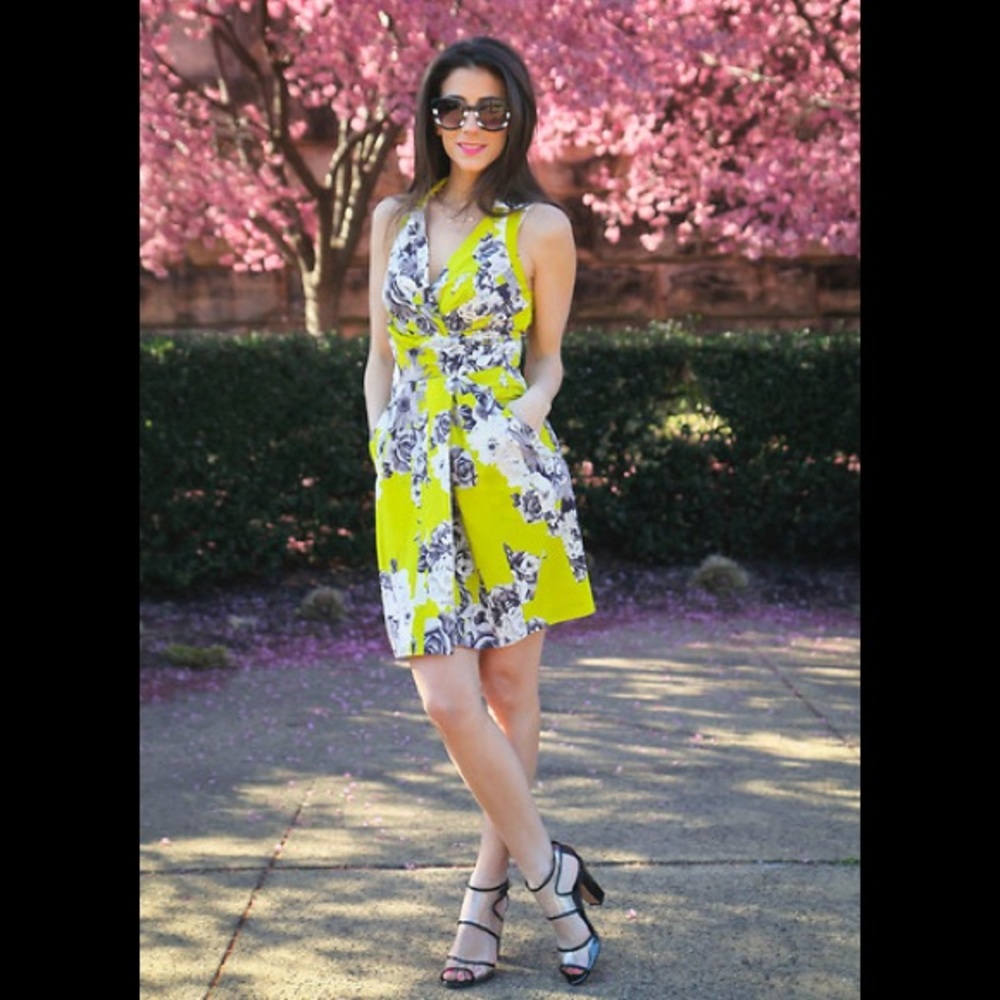 Anthropologie Yoana Baraschi Dress 4 like new